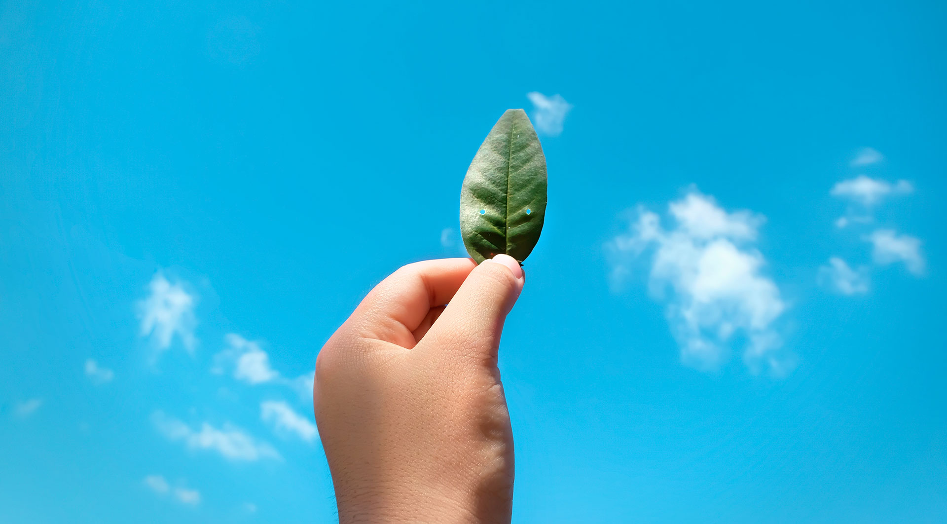 Sustainable textile process